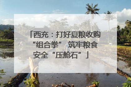 西充：打好夏粮收购“组合拳” 筑牢粮食安全“压舱石”