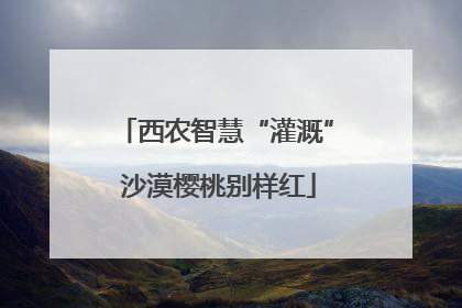 西农智慧“灌溉” 沙漠樱桃别样红