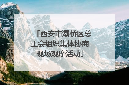 西安市灞桥区总工会组织集体协商现场观摩活动