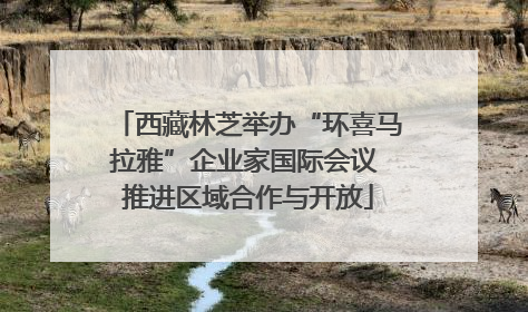 西藏林芝举办“环喜马拉雅”企业家国际会议 推进区域合作与开放