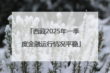 西藏2025年一季度金融运行情况平稳
