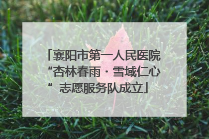 襄阳市第一人民医院“杏林春雨・雪域仁心”志愿服务队成立