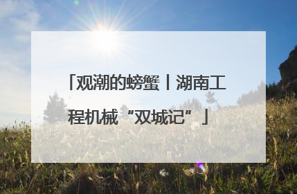 观潮的螃蟹丨湖南工程机械“双城记”
