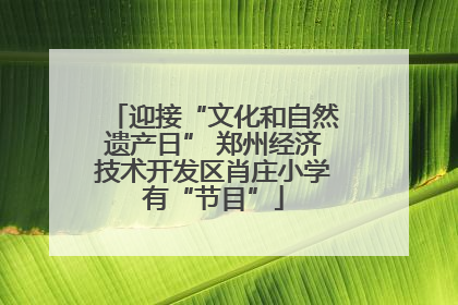 迎接“文化和自然遗产日” 郑州经济技术开发区肖庄小学有“节目”