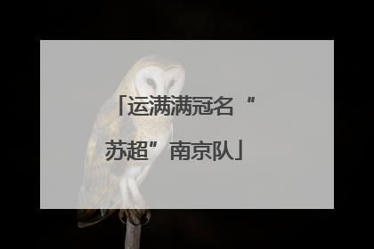 运满满冠名“苏超”南京队