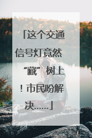 这个交通信号灯竟然“藏”树上！市民盼解决……