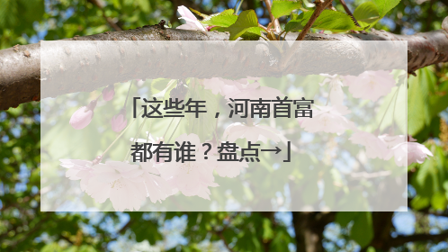 这些年，河南首富都有谁？盘点→