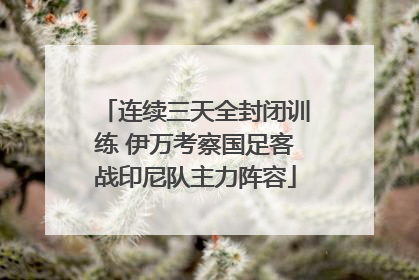 连续三天全封闭训练 伊万考察国足客战印尼队主力阵容