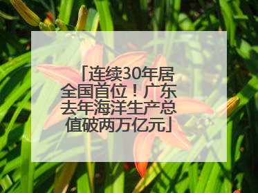 连续30年居全国首位！广东去年海洋生产总值破两万亿元