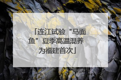 连江试验“马面鱼”夏季高温混养 为福建首次