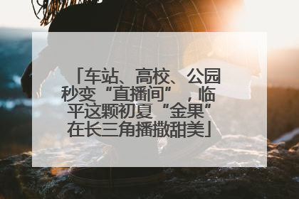 车站、高校、公园秒变“直播间”，临平这颗初夏“金果”在长三角播撒甜美