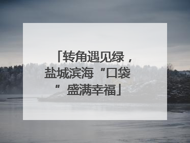 转角遇见绿，盐城滨海“口袋”盛满幸福
