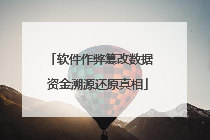 软件作弊篡改数据 资金溯源还原真相