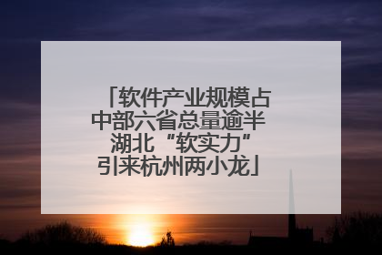 软件产业规模占中部六省总量逾半 湖北“软实力”引来杭州两小龙