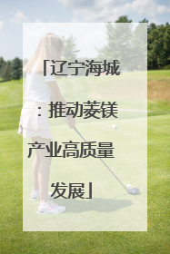 辽宁海城：推动菱镁产业高质量发展
