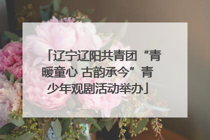 辽宁辽阳共青团“青暖童心 古韵承今”青少年观剧活动举办