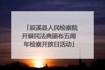 辰溪县人民检察院开展民法典颁布五周年检察开放日活动