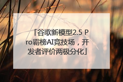 谷歌新模型2.5 Pro霸榜AI竞技场，开发者评价两极分化