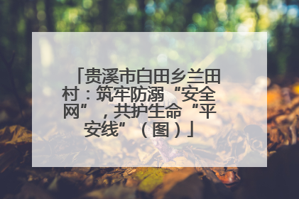 贵溪市白田乡兰田村：筑牢防溺“安全网”，共护生命“平安线”（图）