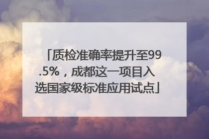 质检准确率提升至99.5%，成都这一项目入选国家级标准应用试点