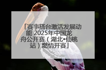 赛事搭台激活发展动能 2025年中国龙舟公开赛（湖北•仙桃站）燃情开赛