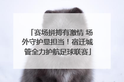 赛场拼搏有激情 场外守护显担当！宿迁城管全力护航足球联赛
