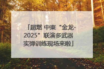 超燃 中柬“金龙-2025”联演多武器实弹训练现场来啦