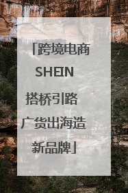 跨境电商SHEIN搭桥引路 广货出海造新品牌
