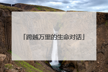 跨越万里的生命对话