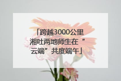 跨越3000公里 湘吐两地师生在“云端”共度端午