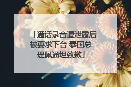 通话录音遭泄露后被要求下台 泰国总理佩通坦致歉