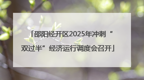 邵阳经开区2025年冲刺“双过半”经济运行调度会召开