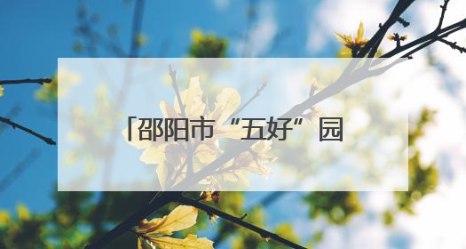 邵阳市“五好”园区建设推进会召开