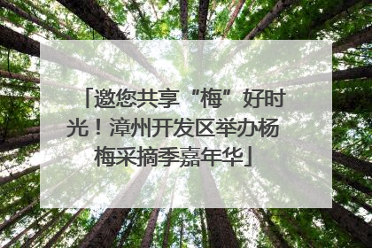 邀您共享“梅”好时光！漳州开发区举办杨梅采摘季嘉年华