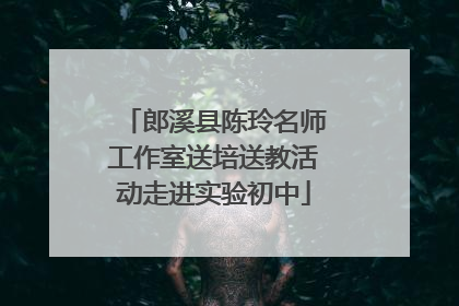 郎溪县陈玲名师工作室送培送教活动走进实验初中