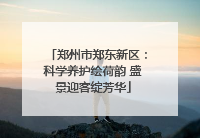 郑州市郑东新区：科学养护绘荷韵 盛景迎客绽芳华