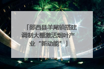 郧西县羊尾镇搭建调制大棚激活烟叶产业“新动能”