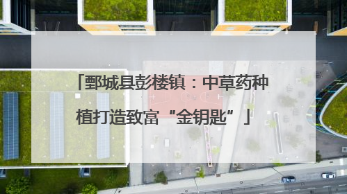 鄄城县彭楼镇：中草药种植打造致富“金钥匙”