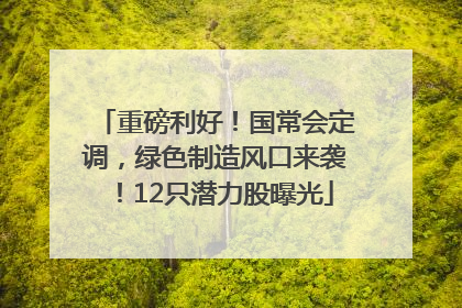 重磅利好！国常会定调，绿色制造风口来袭！12只潜力股曝光