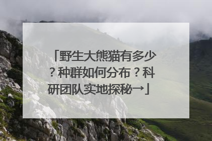 野生大熊猫有多少？种群如何分布？科研团队实地探秘→