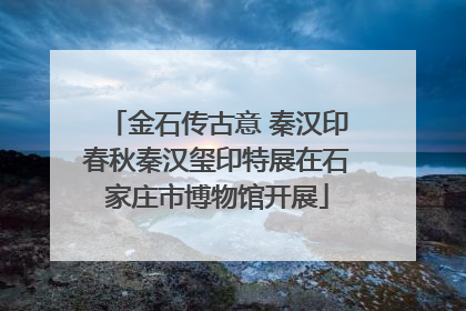 金石传古意 秦汉印春秋秦汉玺印特展在石家庄市博物馆开展