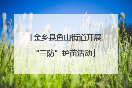 金乡县鱼山街道开展“三防”护苗活动
