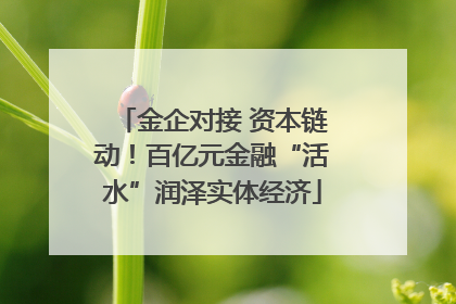 金企对接 资本链动！百亿元金融“活水”润泽实体经济