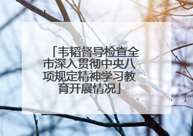 韦韬督导检查全市深入贯彻中央八项规定精神学习教育开展情况