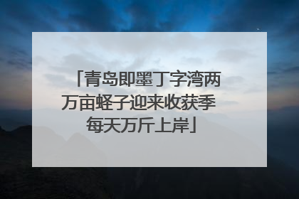 青岛即墨丁字湾两万亩蛏子迎来收获季 每天万斤上岸