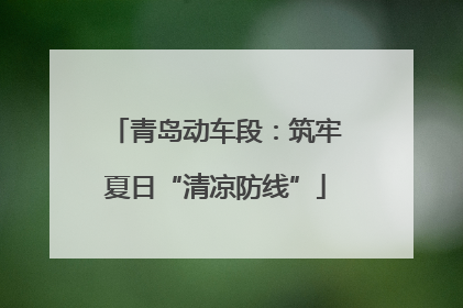 青岛动车段：筑牢夏日“清凉防线”