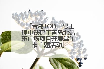 青岛TOD一号工程中铁建工青岛北站东广场项目开展端午节主题活动