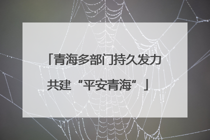 青海多部门持久发力共建“平安青海”