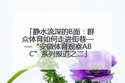 静水流深的B面：群众体育如何走进街巷——“安徽体育观察ABC”系列报道之二