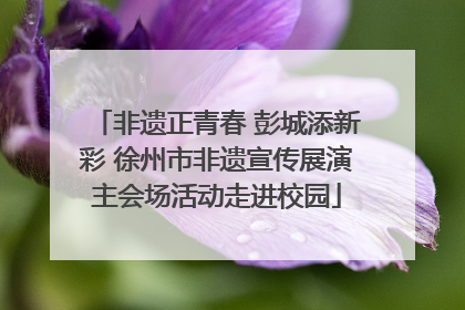 非遗正青春 彭城添新彩 徐州市非遗宣传展演主会场活动走进校园